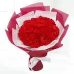 Carnation Flower